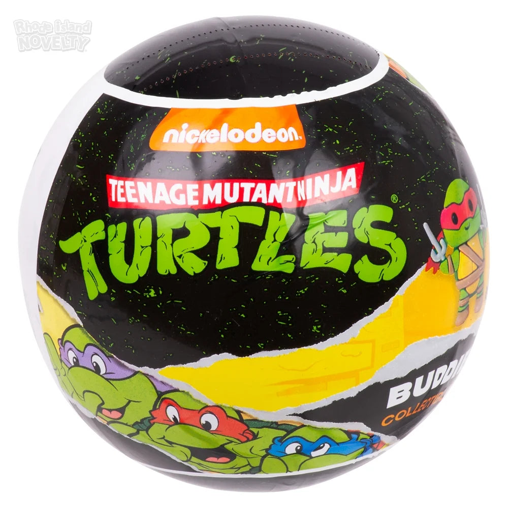 TMNT Buddies Surprise