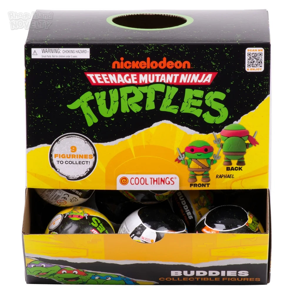 TMNT Buddies Surprise