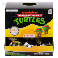 TMNT Buddies Surprise