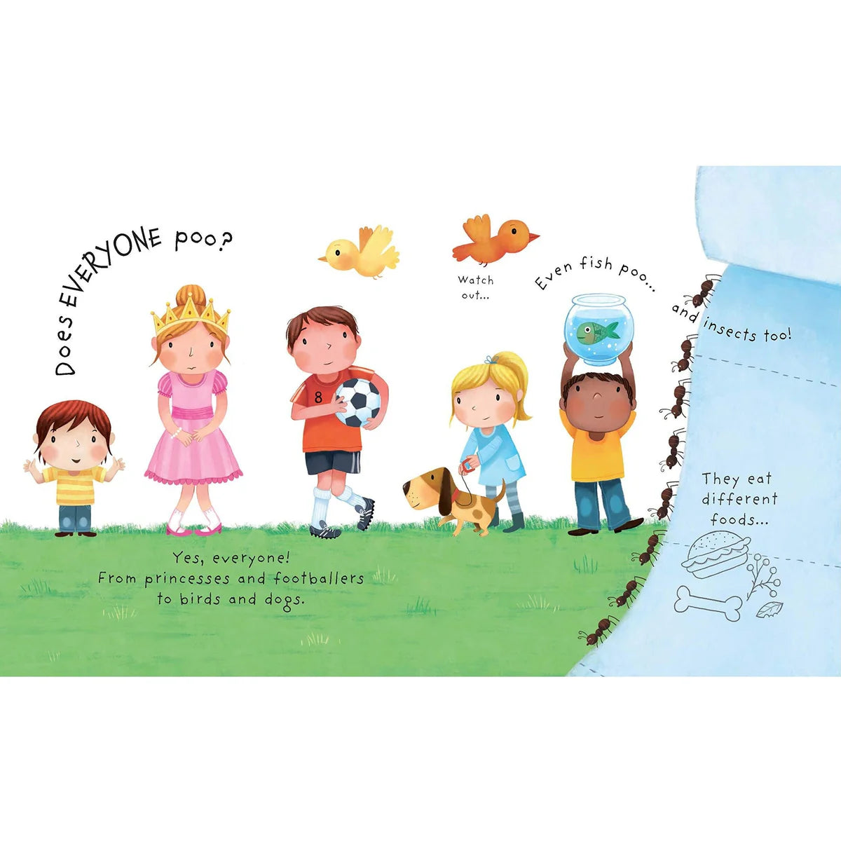 Usborne What Is Poop?