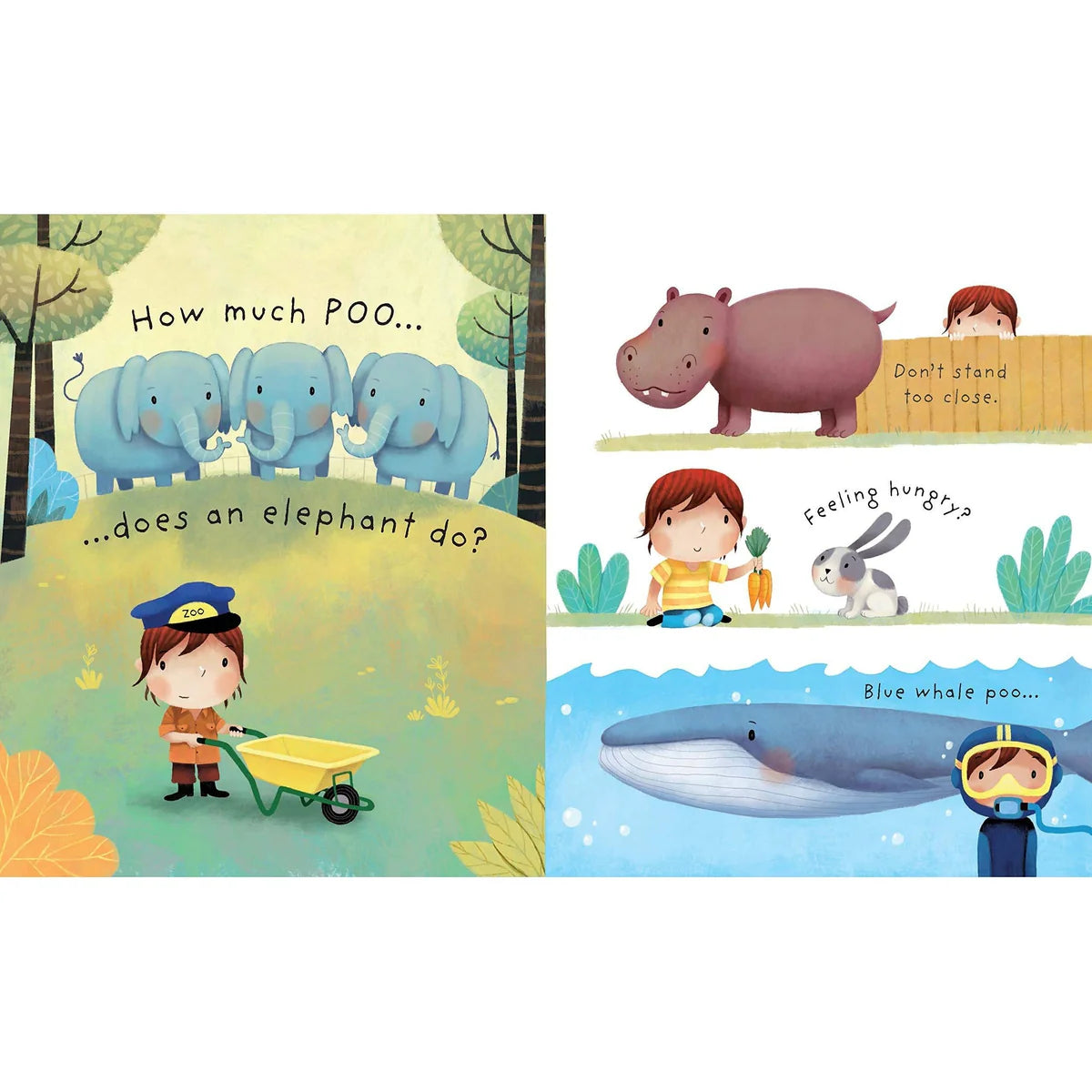 Usborne What Is Poop?