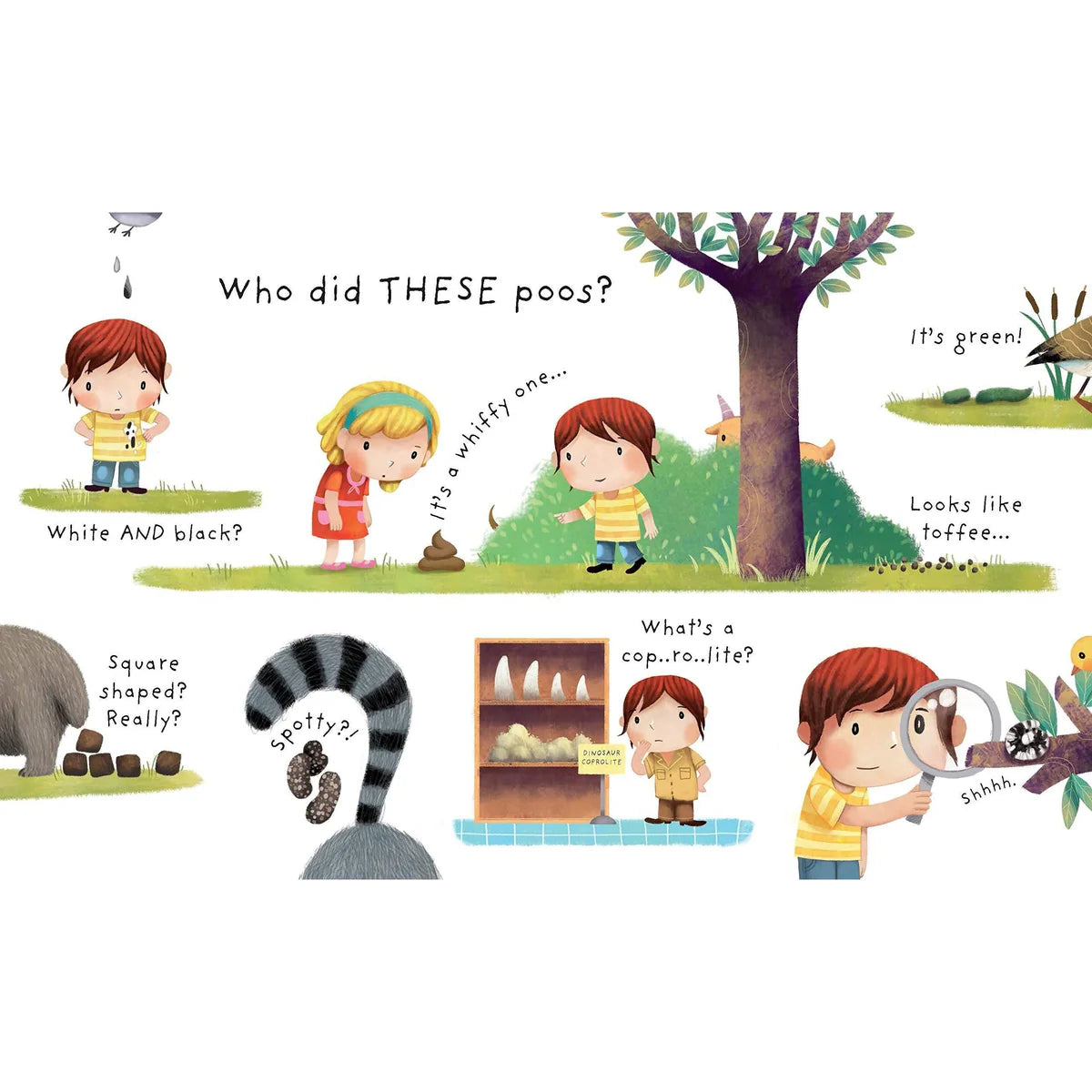 Usborne What Is Poop?