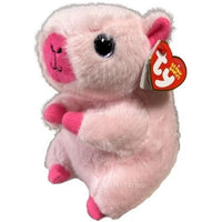 TY Beanie Boo Capybara Multi Assorted