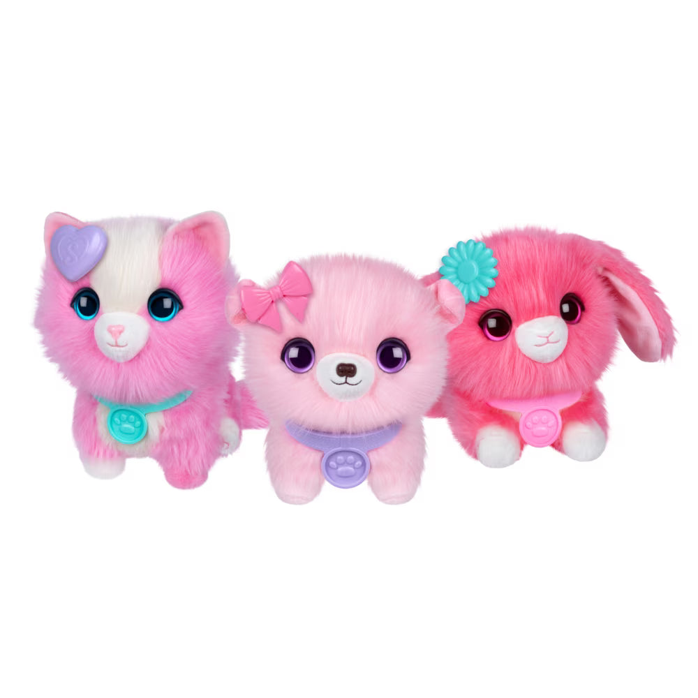 Scruffaluvs S3 Pet Single Pack Coral Pets