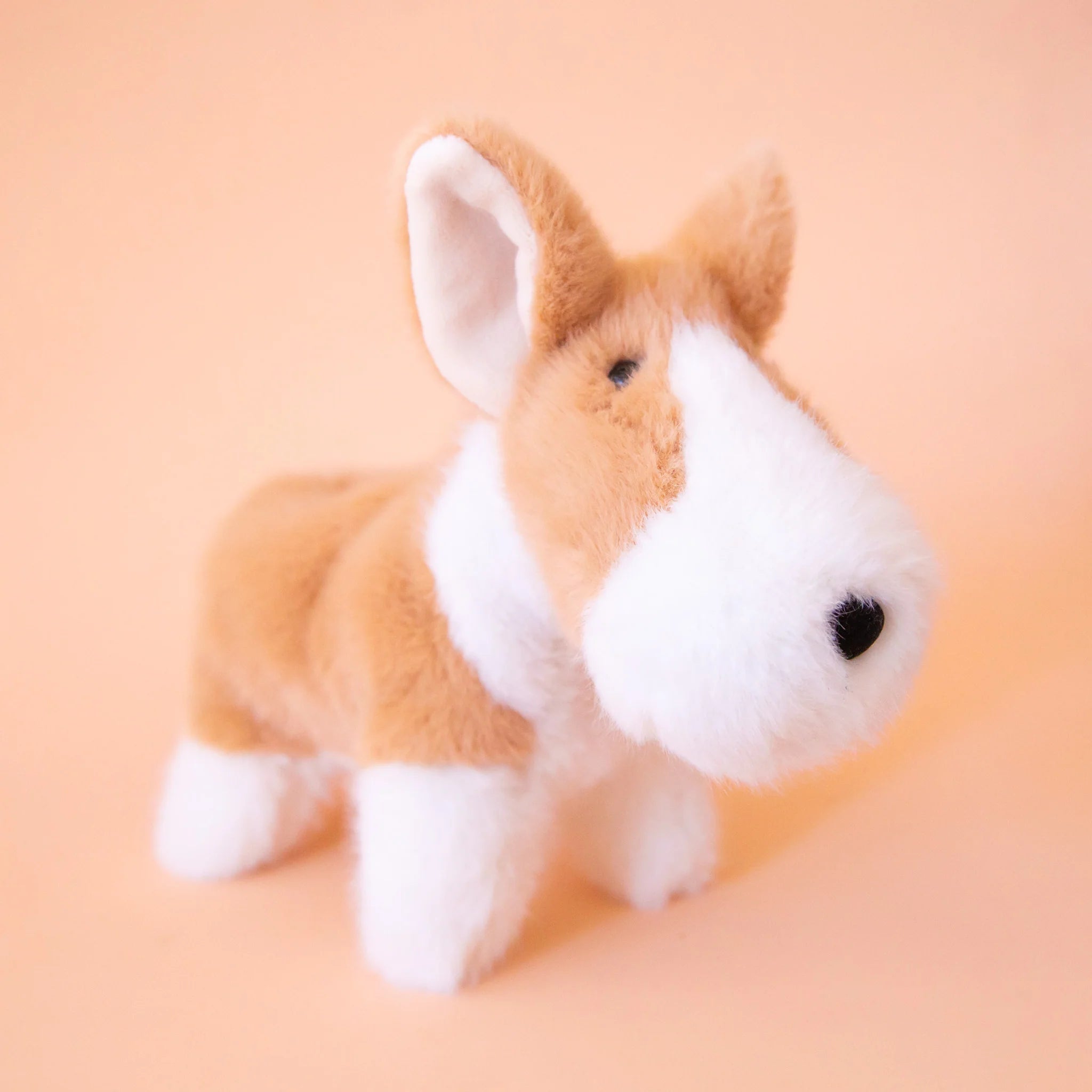 Douglas Toys Carol Corgie Muzzle