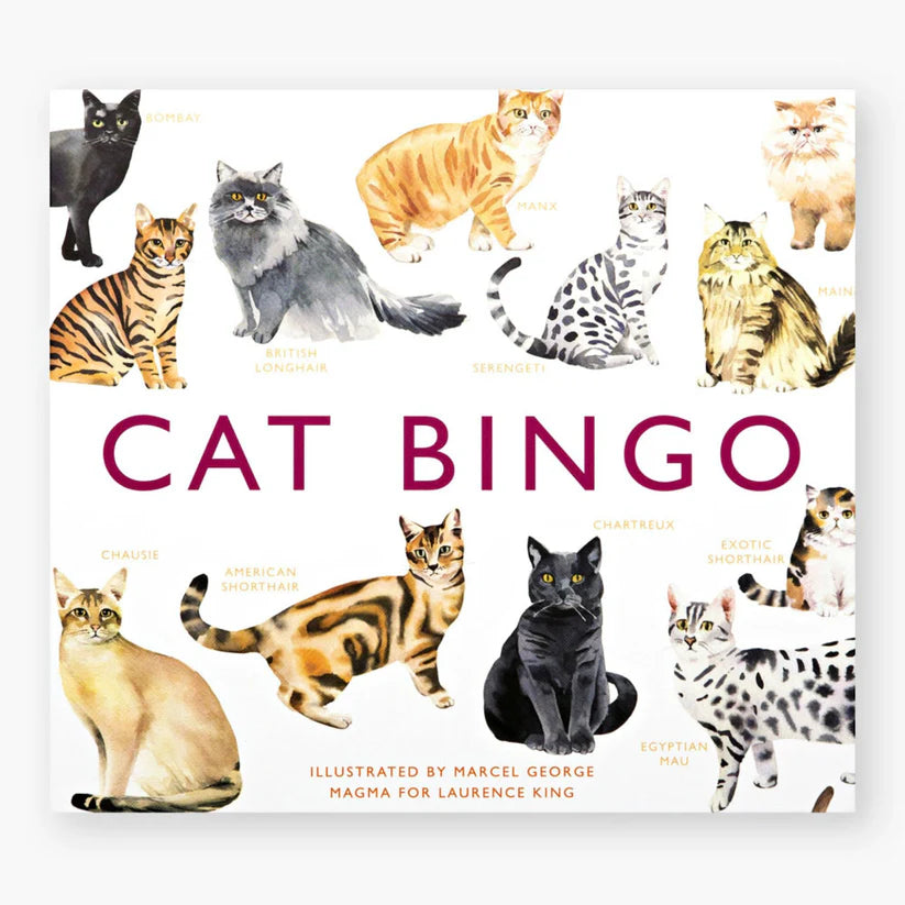 Cat Bingo
