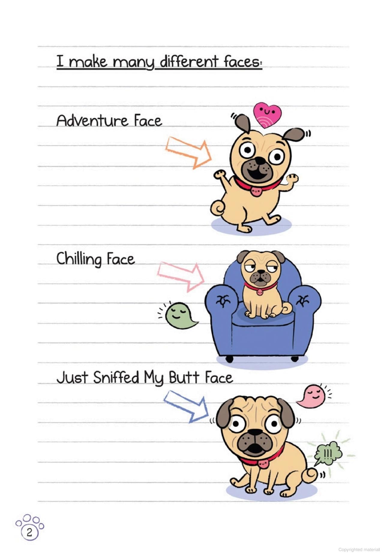 Diary Of A Pug Pug's Road Trip #7