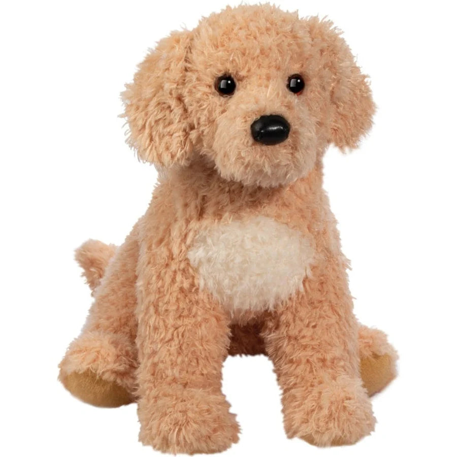 Douglas Noodle Goldendoodle