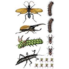 Tattoos That Teach Creepy, Crawly Tattoo Bugs