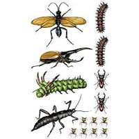 Tattoos That Teach Creepy, Crawly Tattoo Bugs