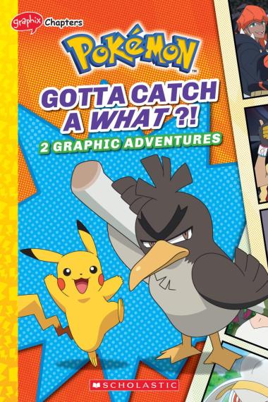 POKEMON Graphix Gotta Catch a What ?