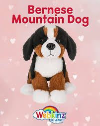 Webkinz 🍁Bernese Mountain Dog Plush