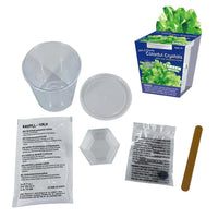 Thames & Kosmos Colourful Crystals