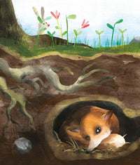 Fox Explores the Night: A First Science Storybook By Martin Jenkins
