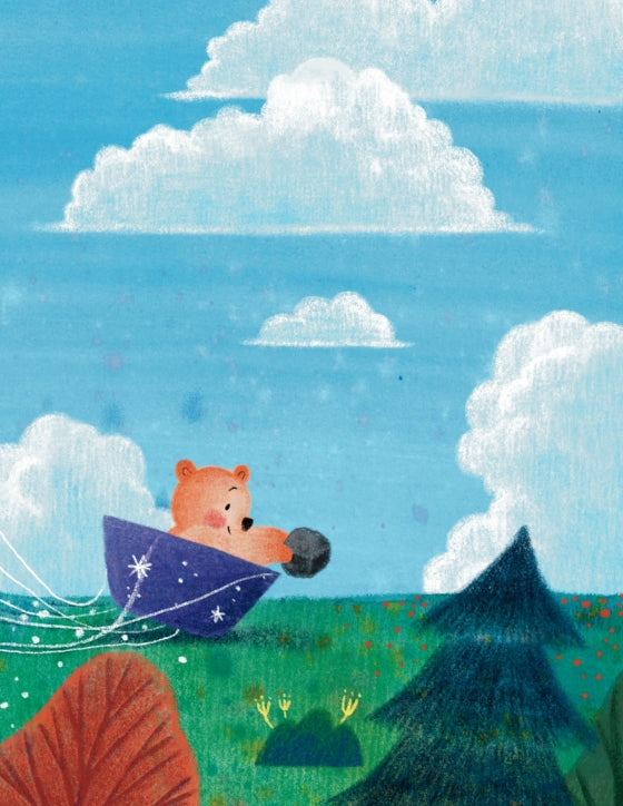 Bear in the Air By Allison Wortche
