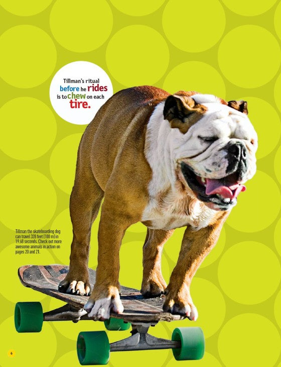 National Geographic Kids Ultimate Weird but True!