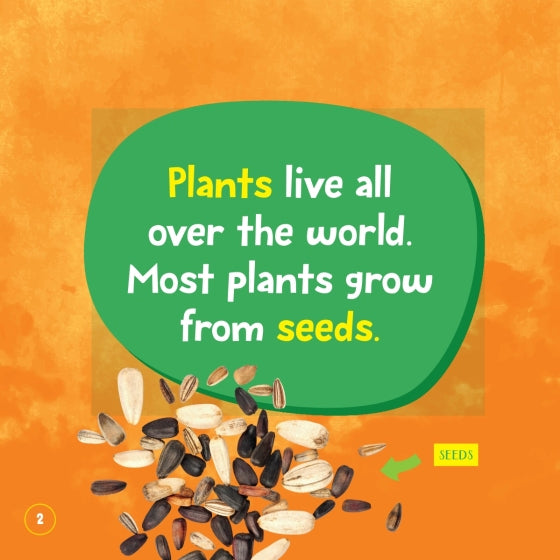National Geographic Kids Little Kids First Board Book Seed, Sprout, Grow!