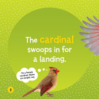 National Geographic Kids Little Kids First Board Book: Birds