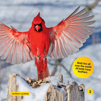 National Geographic Kids Little Kids First Board Book: Birds