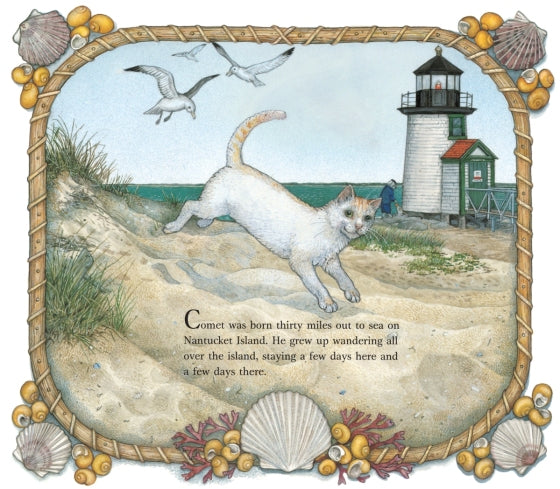 Comet's Nine Lives - Jan Brett