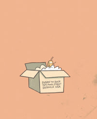 Lucky Duck - Greg Pizzoli