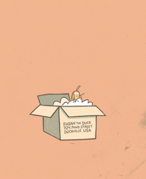 Lucky Duck - Greg Pizzoli