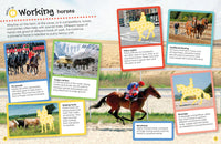 Dk Books Horses & Ponies  Ultimate Sticker Book