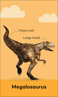 DK My First Dinosaur Flash Cards