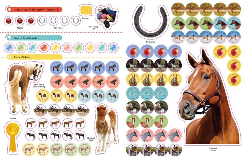 Dk Books Horses & Ponies  Ultimate Sticker Book