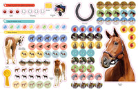 Dk Books Horses & Ponies  Ultimate Sticker Book