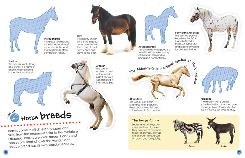 Dk Books Horses & Ponies  Ultimate Sticker Book