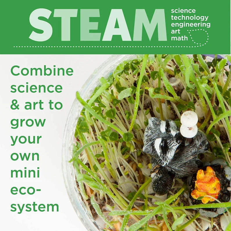 Creativity For Kids Glow N Grow Terrarium