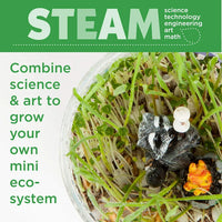 Creativity For Kids Glow N Grow Terrarium