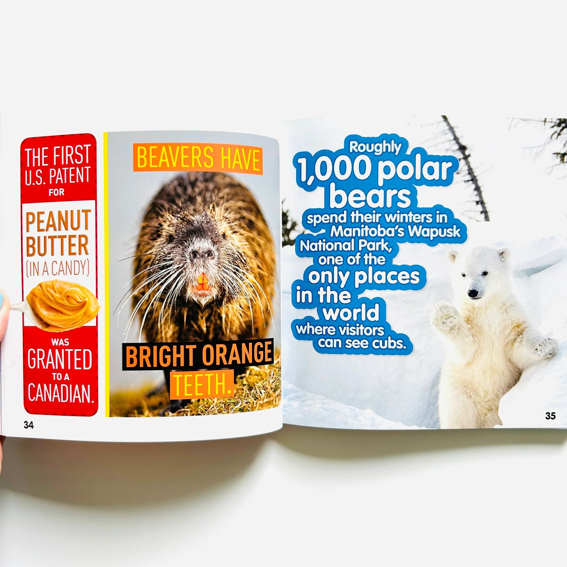 National Geographic Kids Weird But True! Canada