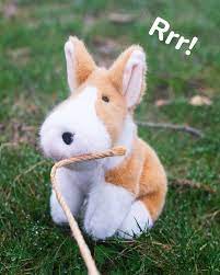 Douglas Toys Carol Corgie Muzzle