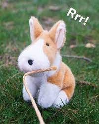 Douglas Toys Carol Corgie Muzzle