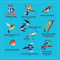 My Sticker Paintings: Birds : 10 Magnificent Paintings