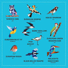 My Sticker Paintings: Birds : 10 Magnificent Paintings