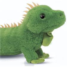 Douglas Buddie Iguana Soft