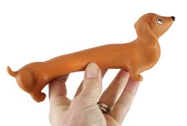 Stretchy  Dachshund