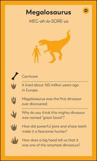 DK My First Dinosaur Flash Cards