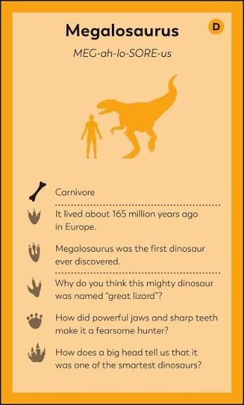 DK My First Dinosaur Flash Cards