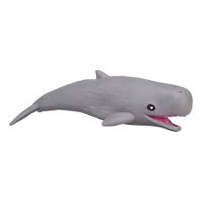 Super Stretchy Sand Sea Life