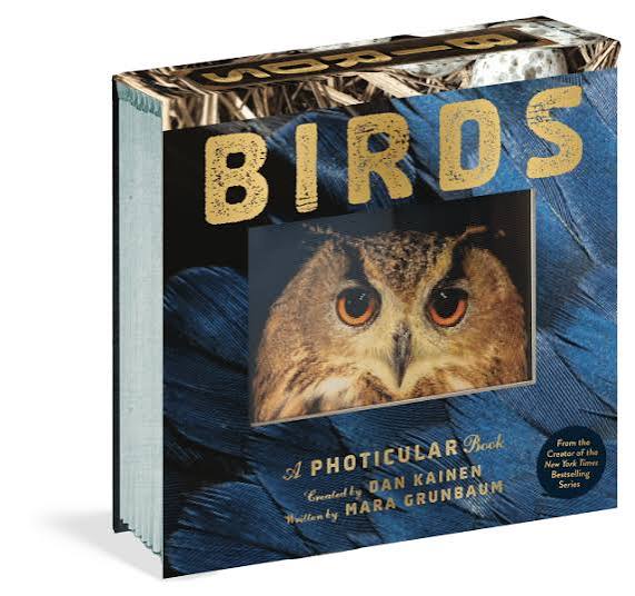 Birds - A Photicular Book