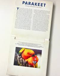 Birds - A Photicular Book