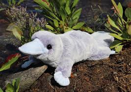 Douglas Toys Allie Platypus Soft