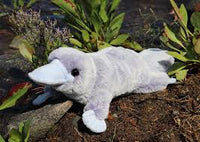 Douglas Toys Allie Platypus Soft