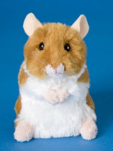 Douglas Brushy Hamster