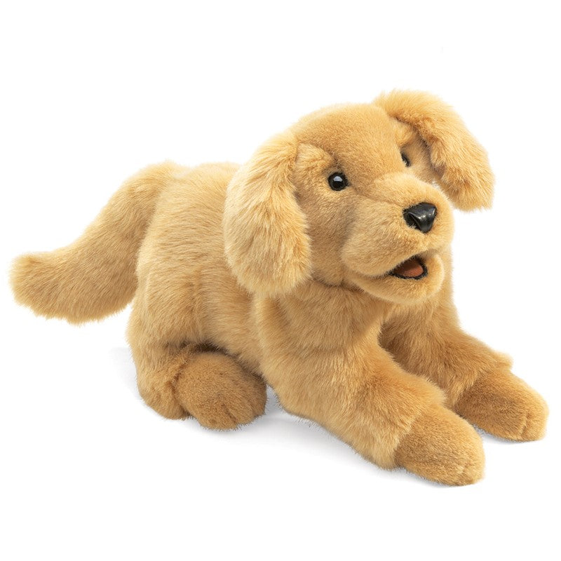 Folkmanis Golden Retriever Puppy