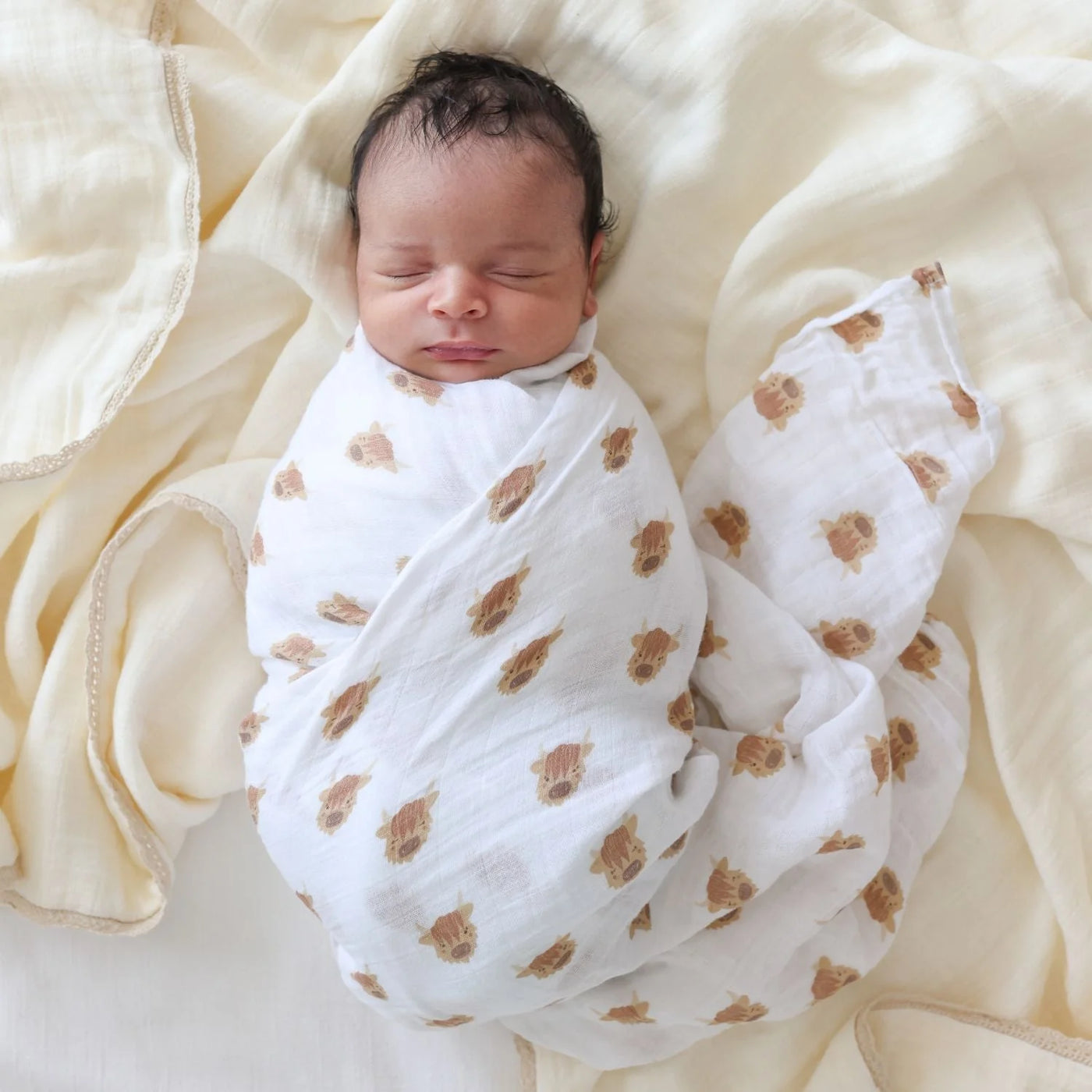 Lulujo Highland Cows Swaddle Muslin Cotton Blanket
